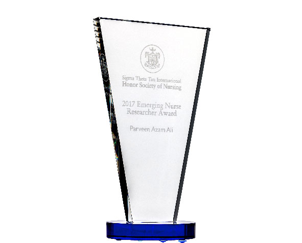 Nurse Researcher Emerging Nurse Researcher-Scholar hardware