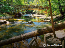 Photo by Mindi Lindner