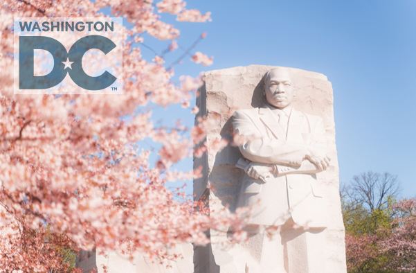 Washington.org